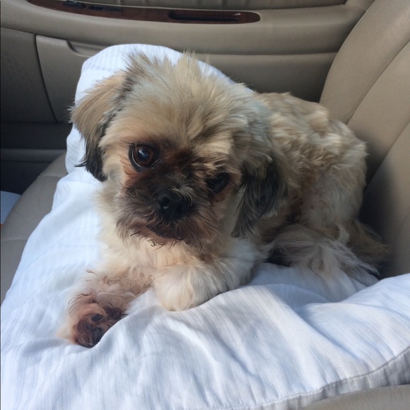 AnnJay and Sam Fashion super stars always in style - Picture 7 of 8